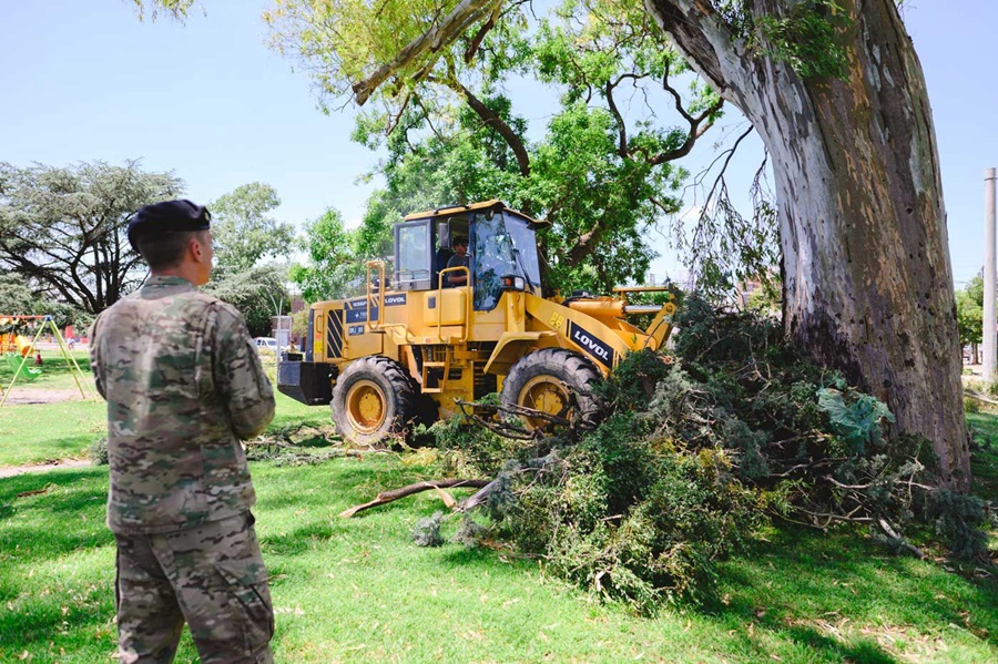 El Municipio intensifica tareas