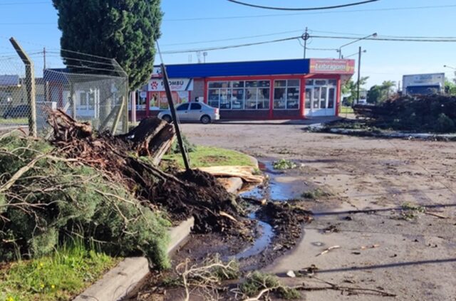 Fotos del segundo temporal