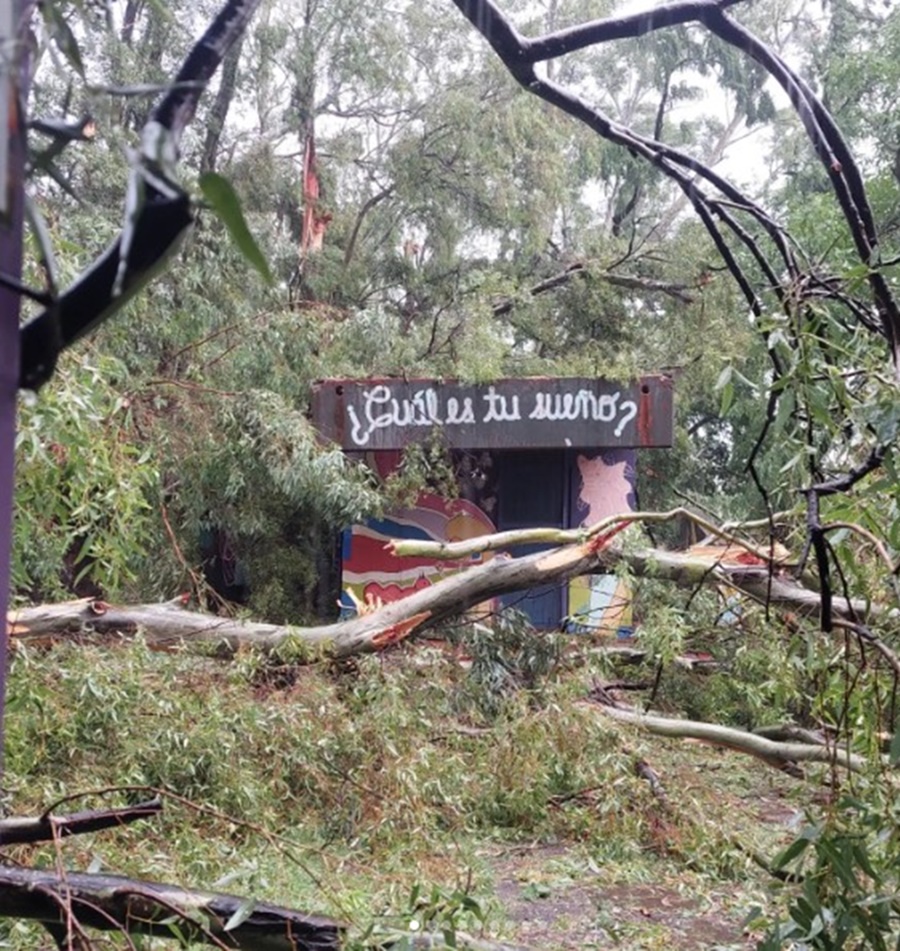 Tristeza por el parque