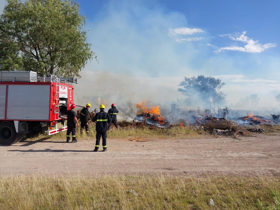 Incendiaron
