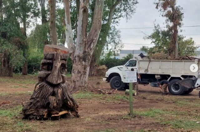 Los guardianes del Parque