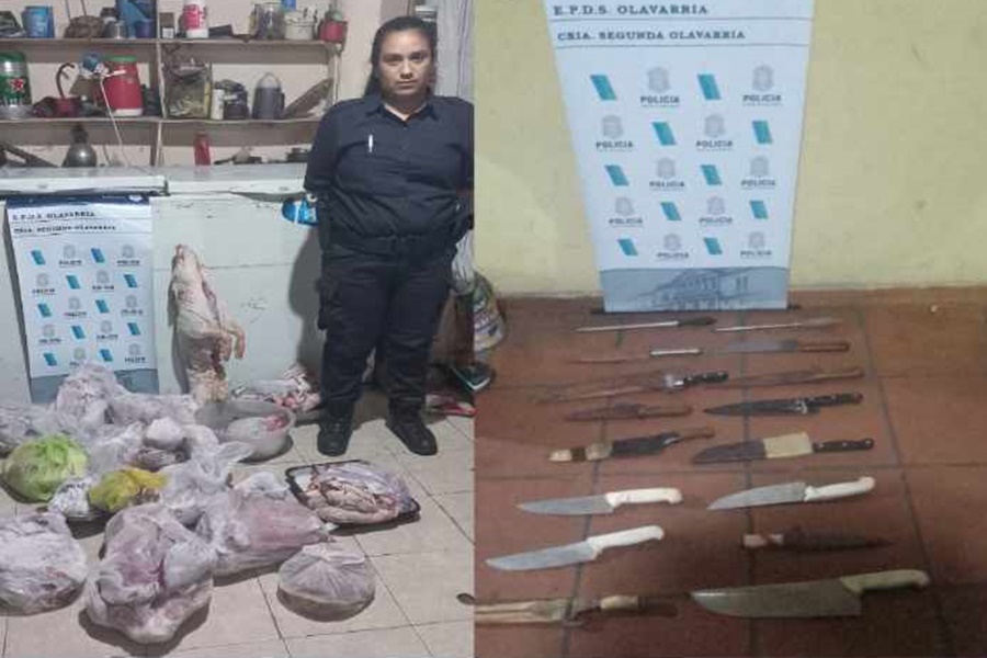 En allanamientos encontraron elementos