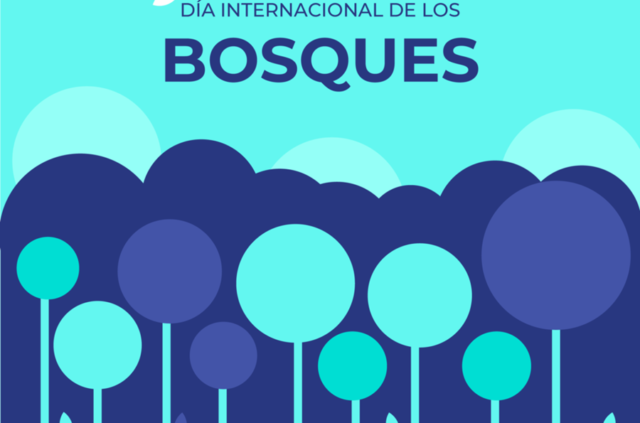 Día Internacional de los