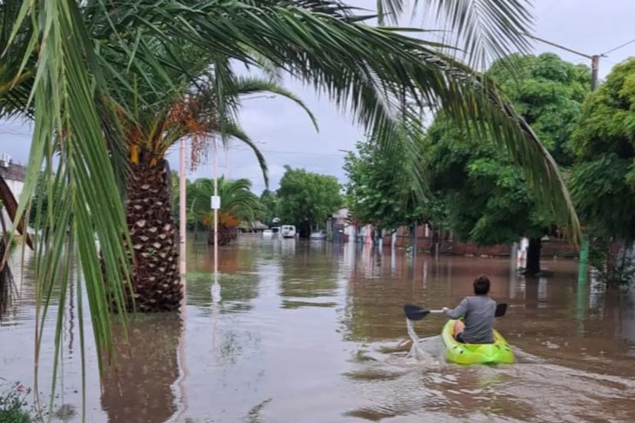 Impactantes imágenes de hinojo
