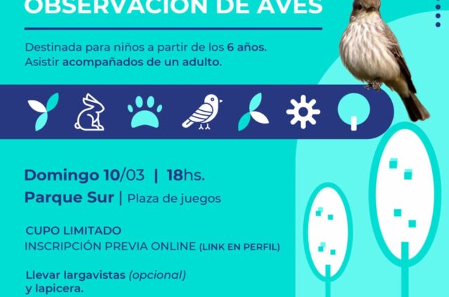 Jornada de avistaje de