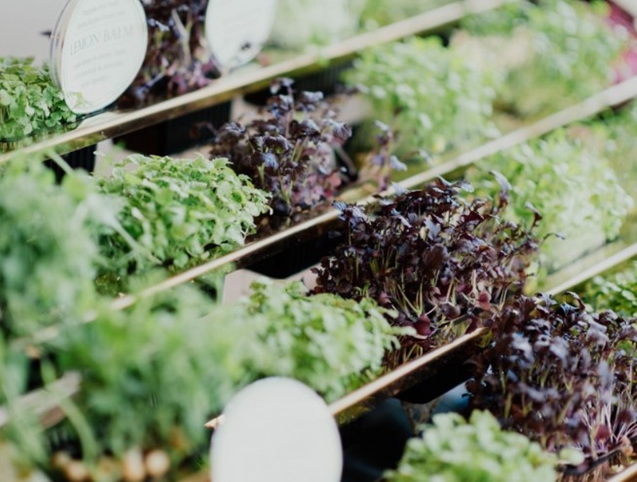 Del productor al consumidor