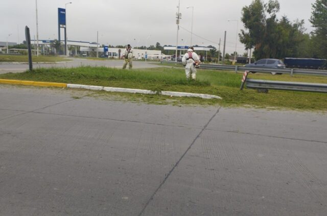 El Municipio cortó el