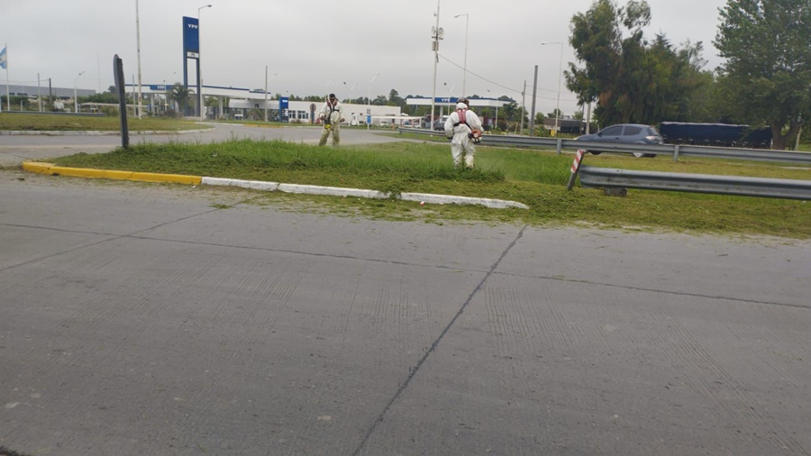 El Municipio cortó el