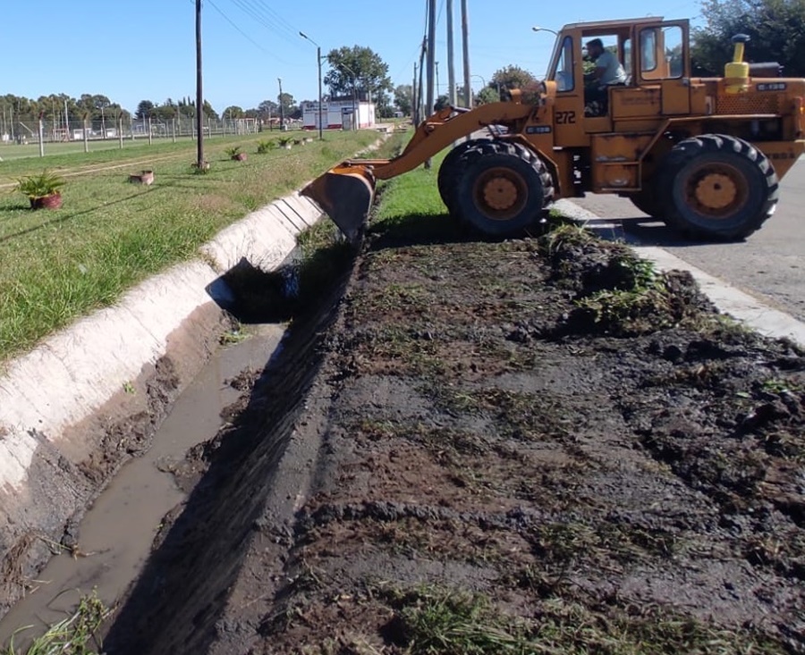 El Municipio realiza en