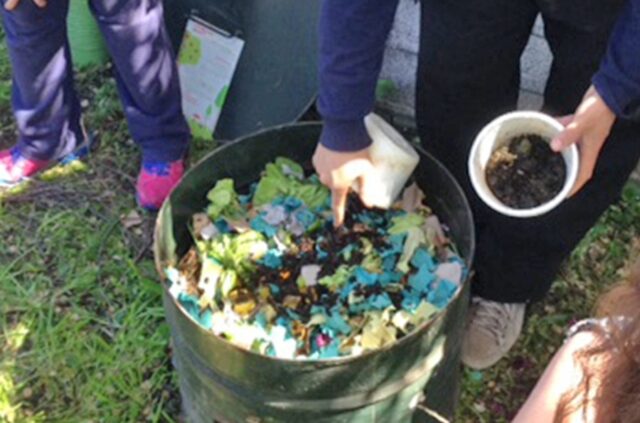 Programa de Educación Ambiental