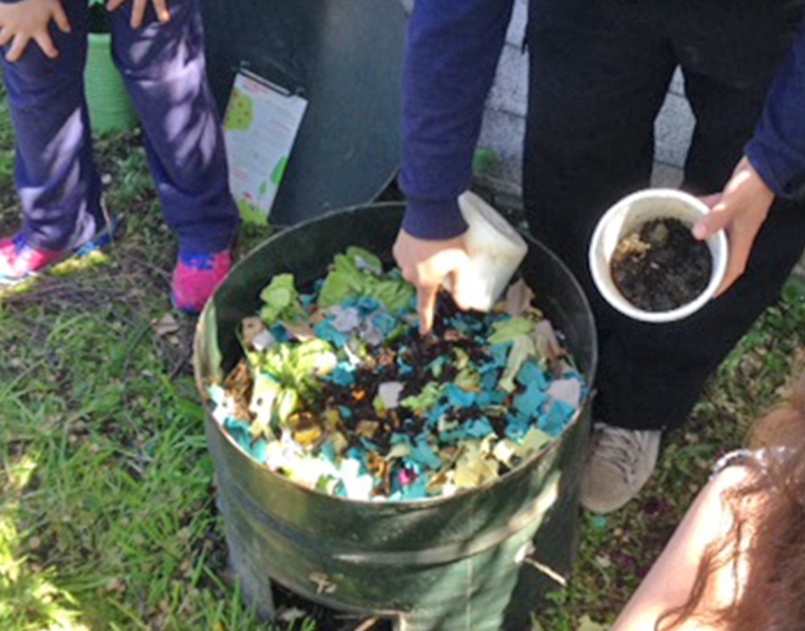 Programa de Educación Ambiental