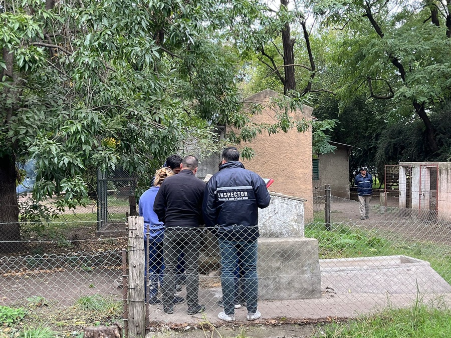 investigación 