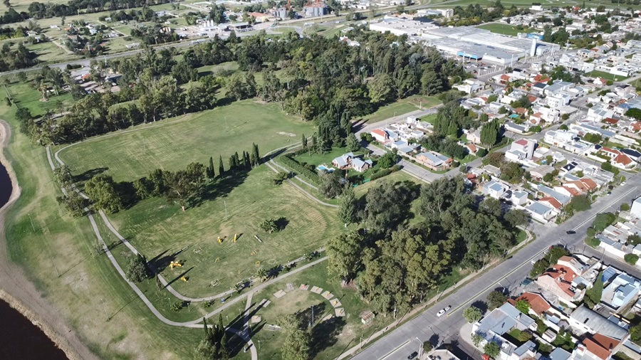 El Municipio realizará la