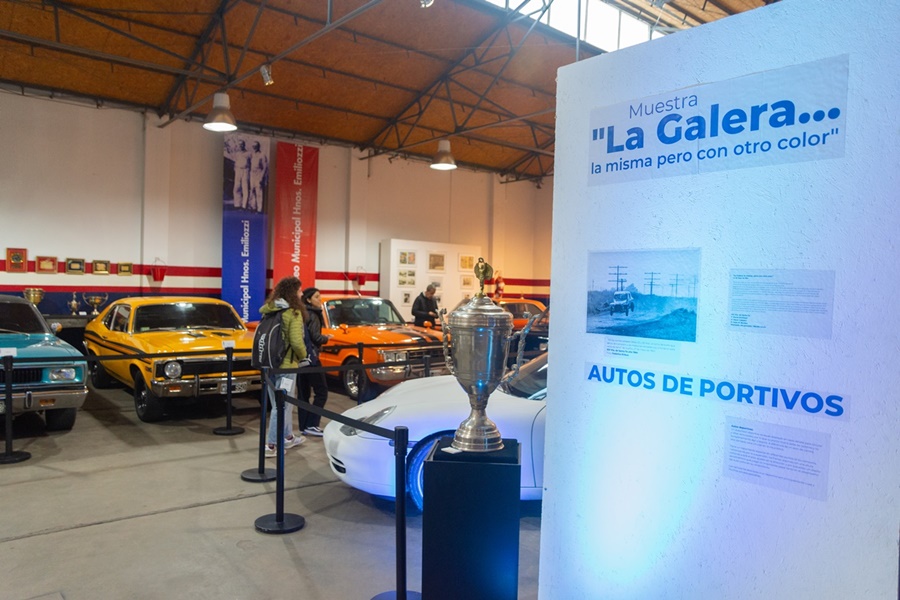 Cultura en acción