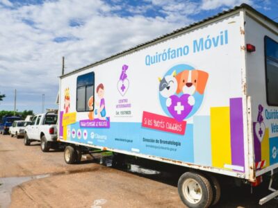 Reprogramación del Quirófano Veterinario