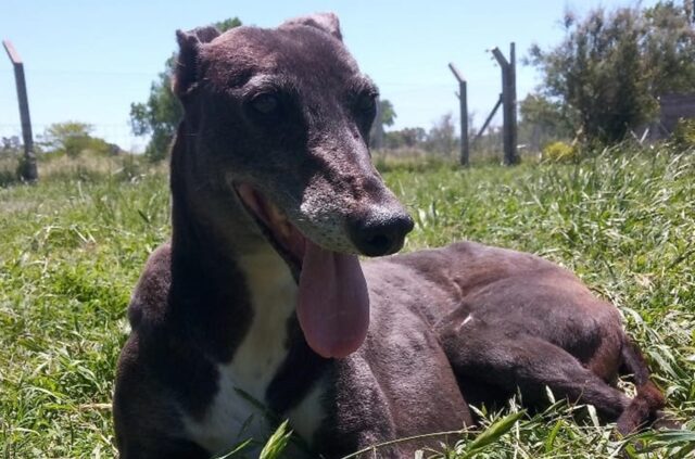 Zoe busca un