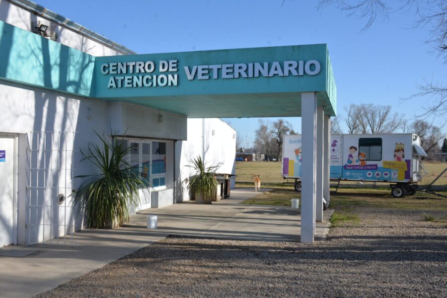 Aniversario centro veterinario 4