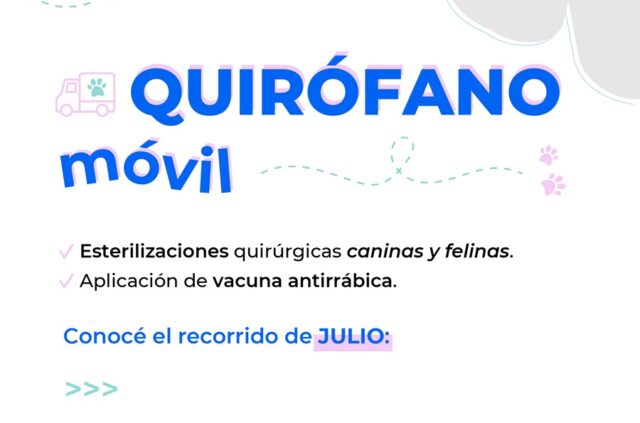Inicia el calendario de