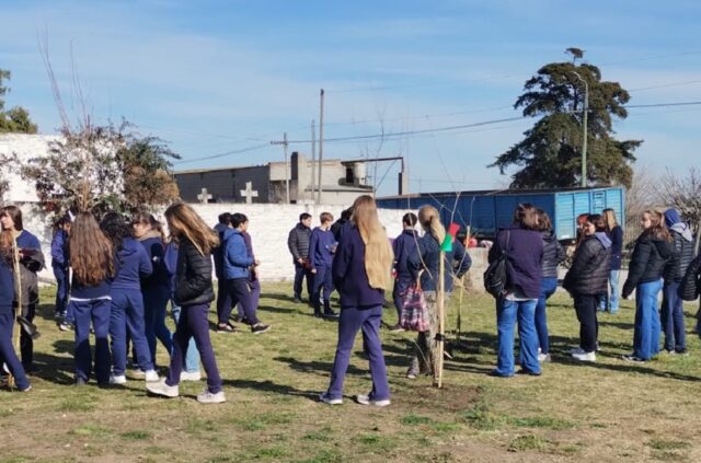Atención Primaria de la