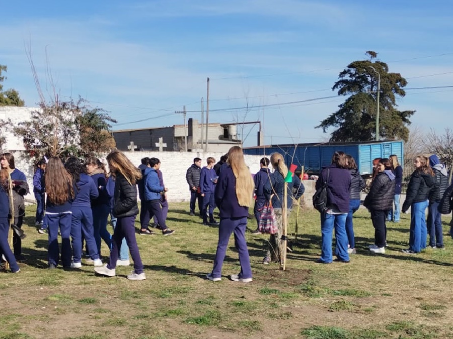 Atención Primaria de la