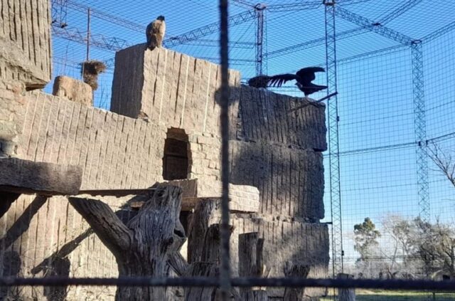 El Bioparque La Máxima