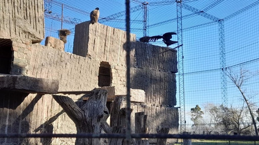 El Bioparque La Máxima