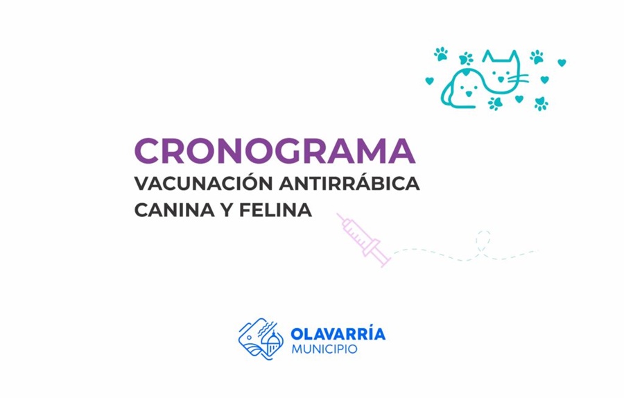 En septiembre iniciará la