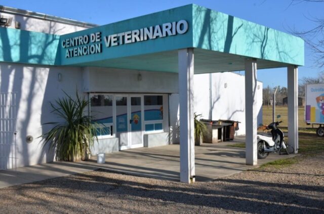 Suspensión de turnos de