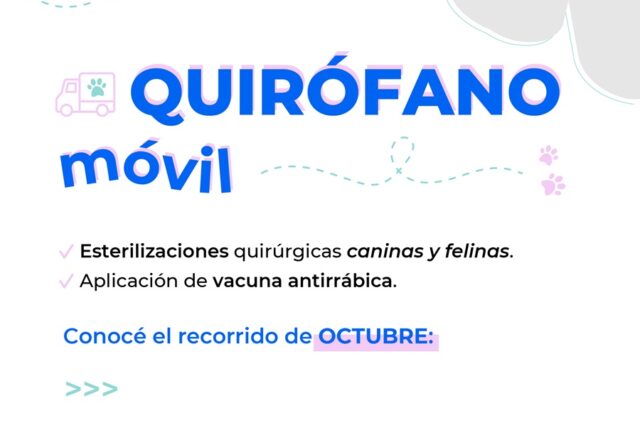 Cronograma de castraciones gratuitas