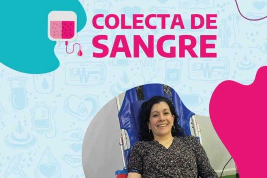 Hemoterapia coordina una nueva
