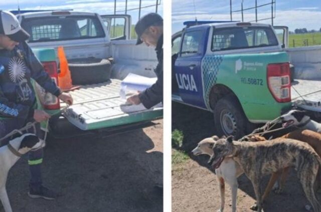 Infraccionaron a una persona