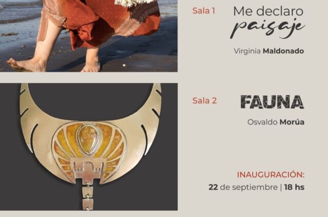 Nueva muestra en el