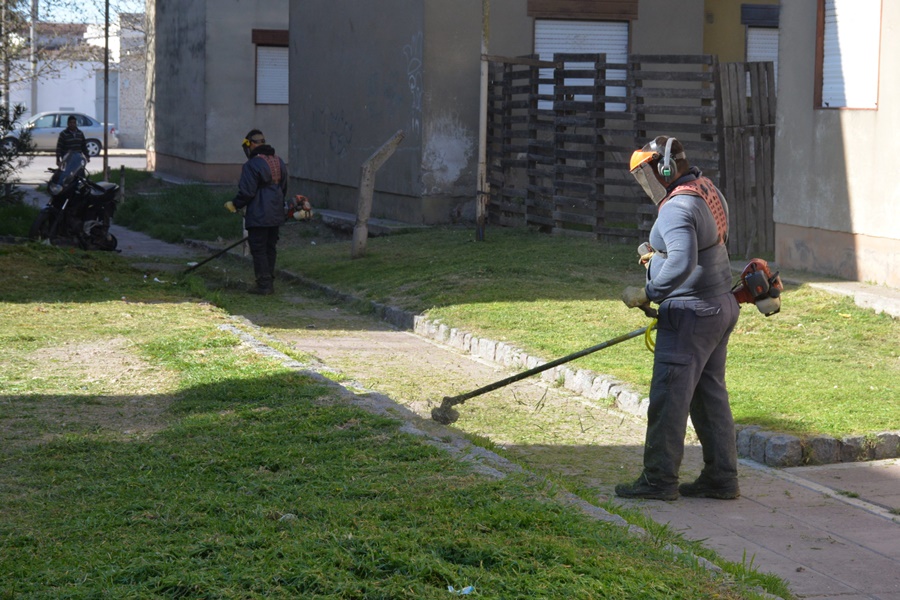 Trabajos de limpieza y