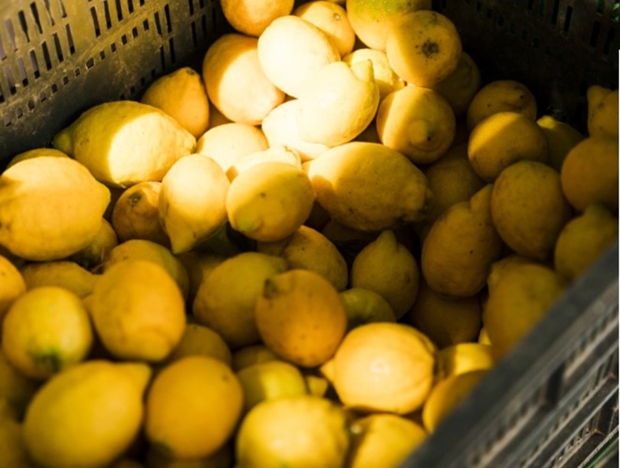 Del productor al consumidor