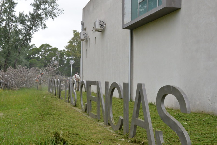 Continúan con actividades en