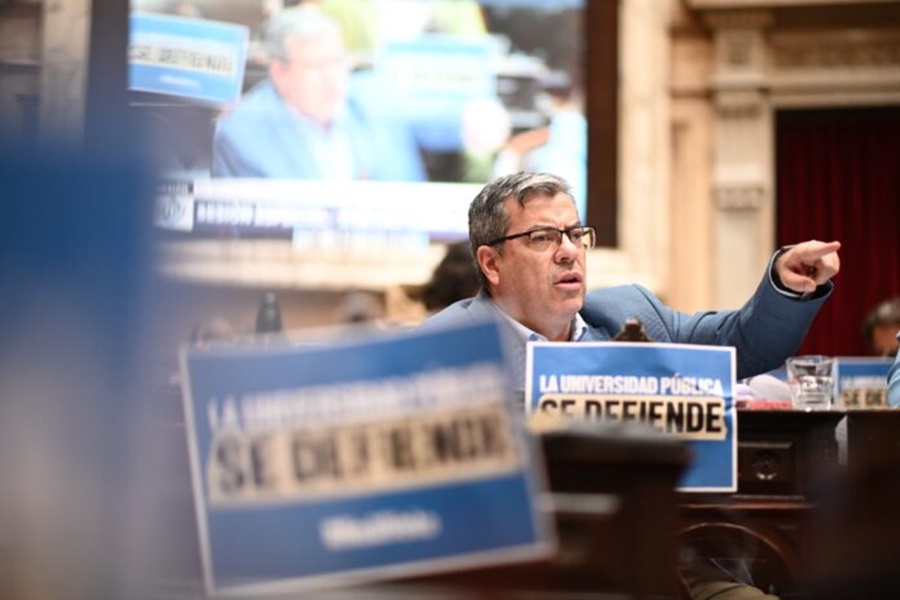 Triunfo político de Milei