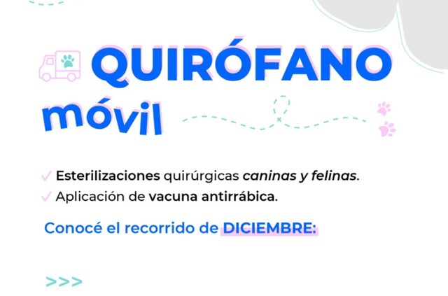 Cronograma de diciembre del