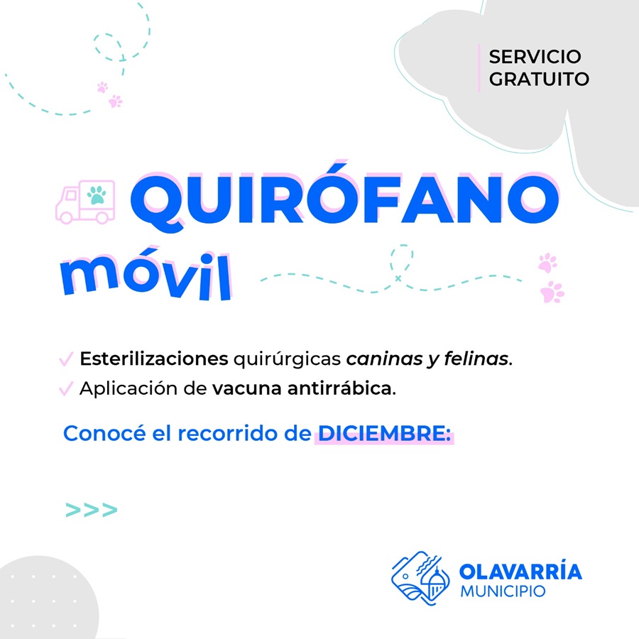 Cronograma de diciembre del