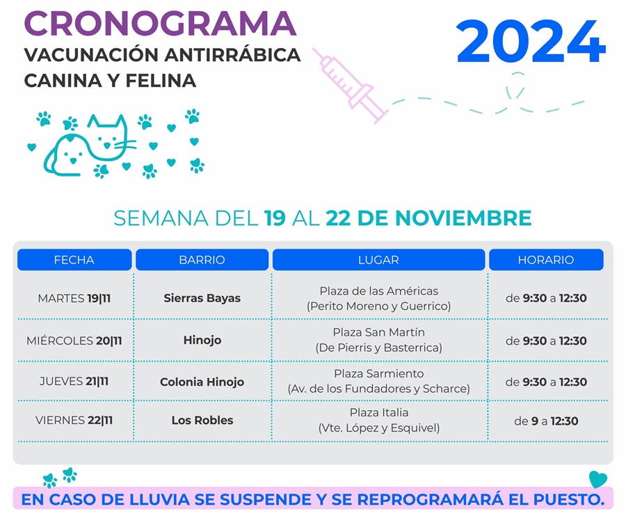 Cronograma de la segunda