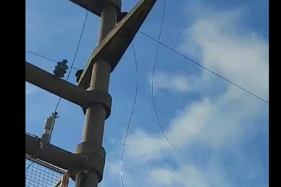 Un robo de cables