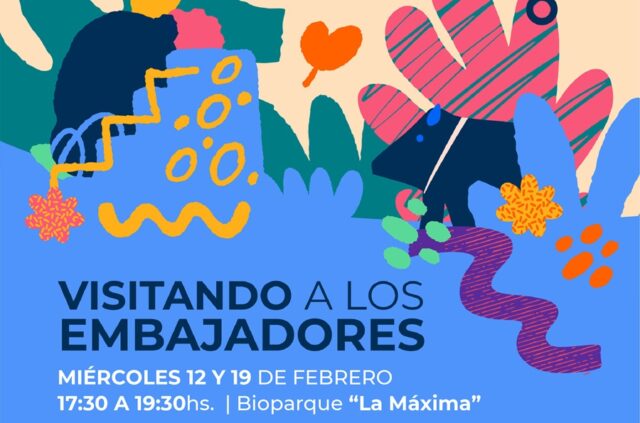 Continúan las actividades de