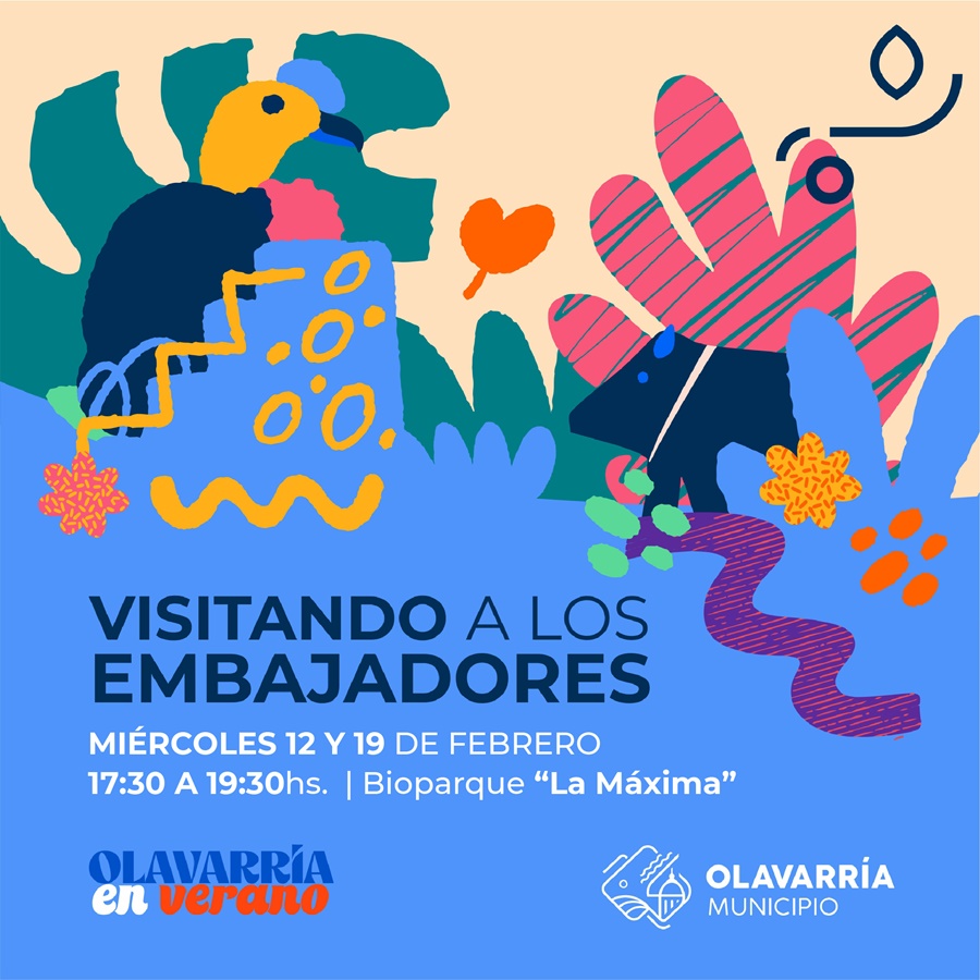 Continúan las actividades de