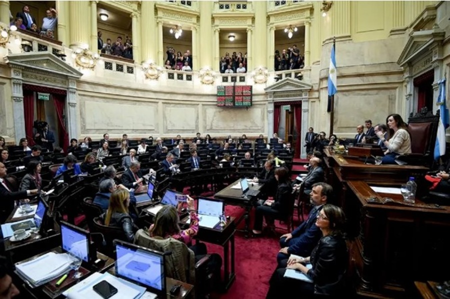 El Senado trata la