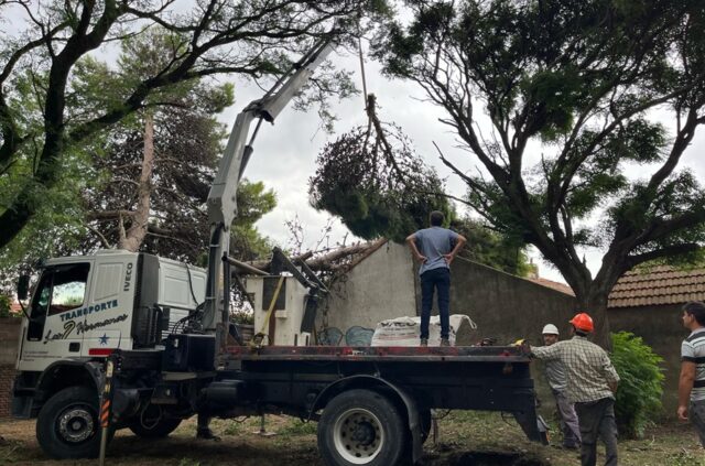 Wesner encabeza un operativo