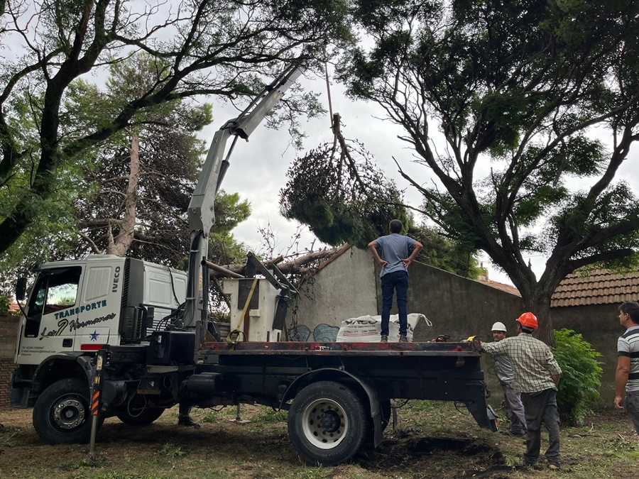Wesner encabeza un operativo