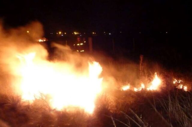 Incendio Pastizales