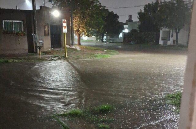 Bahia blanca bajo