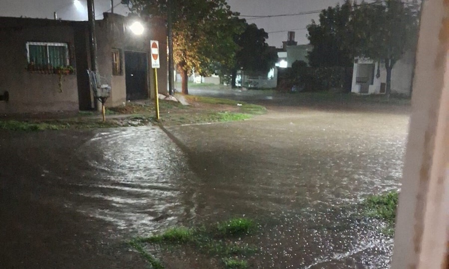 Bahia blanca bajo