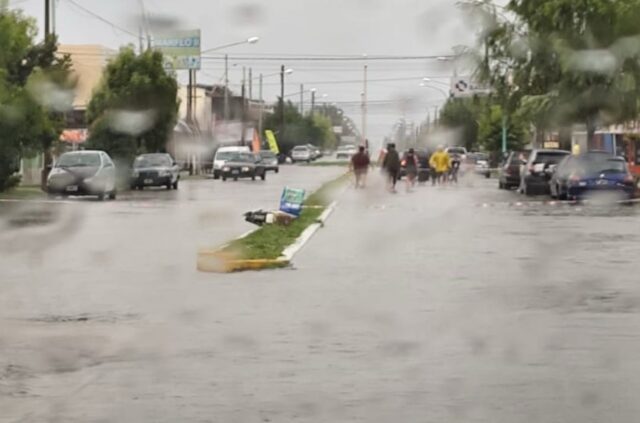 Por el alerta suspenden
