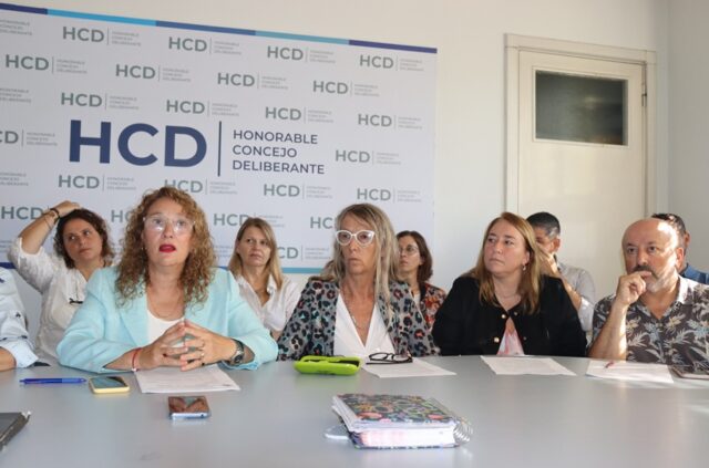 Se presentó el concejo